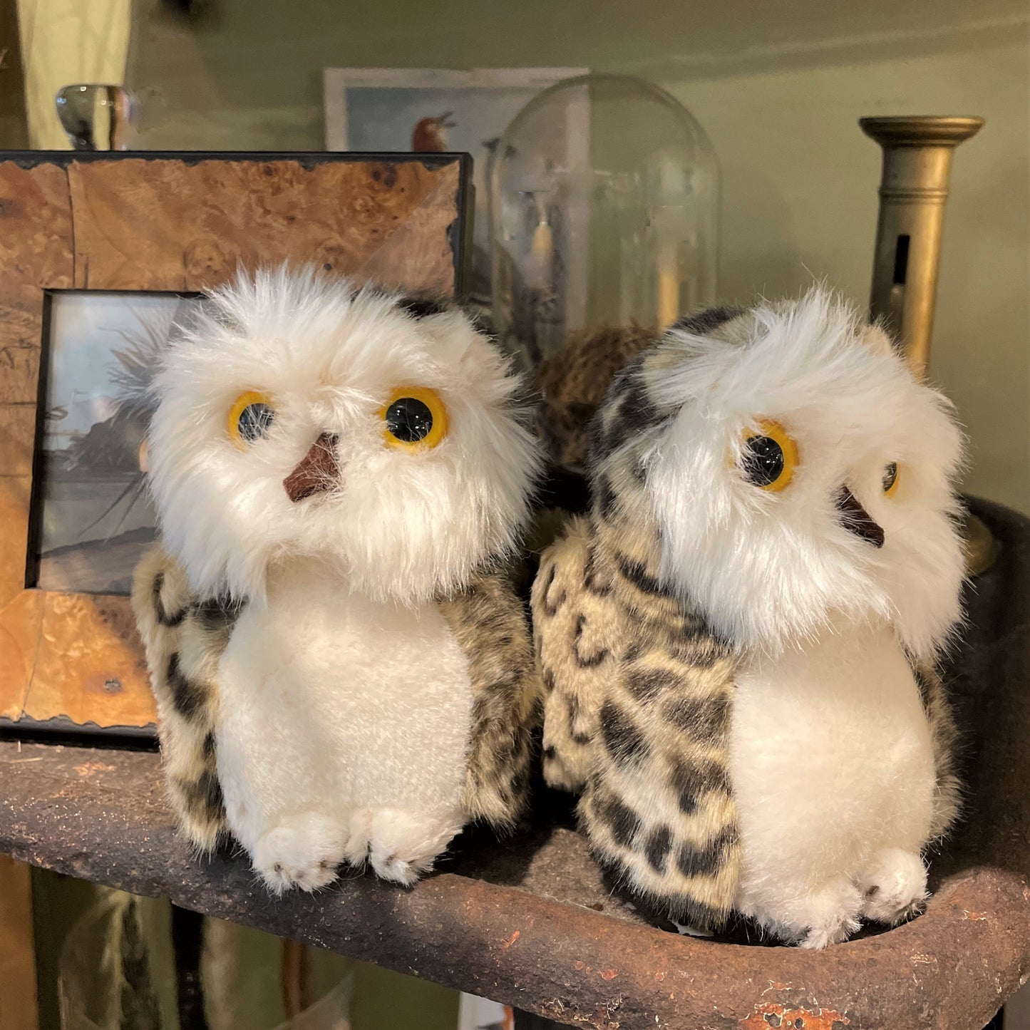 Baby Owl Toy