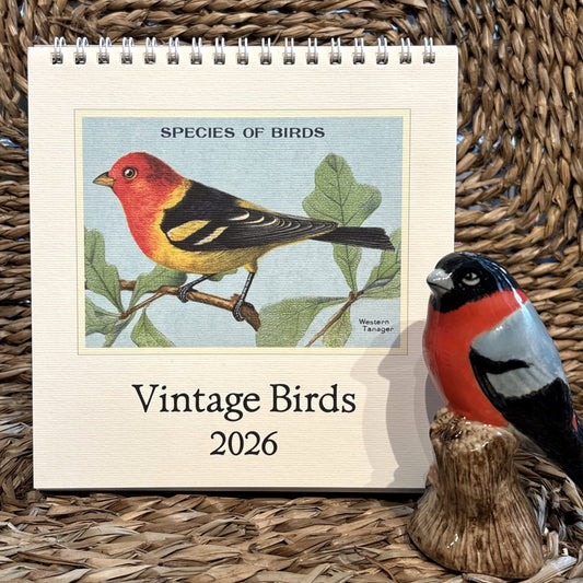 Birds Desk Calendar 2026