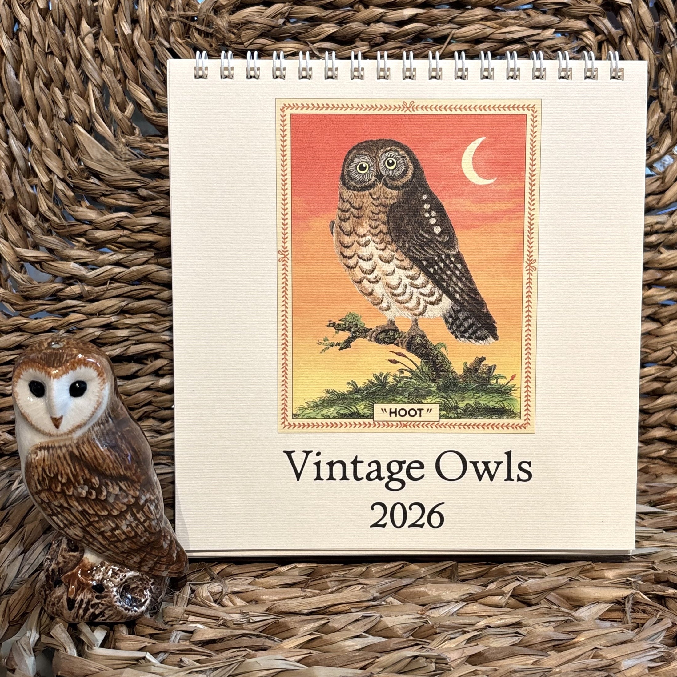 Owls Desk Calendar 2026 Watson Kennedy