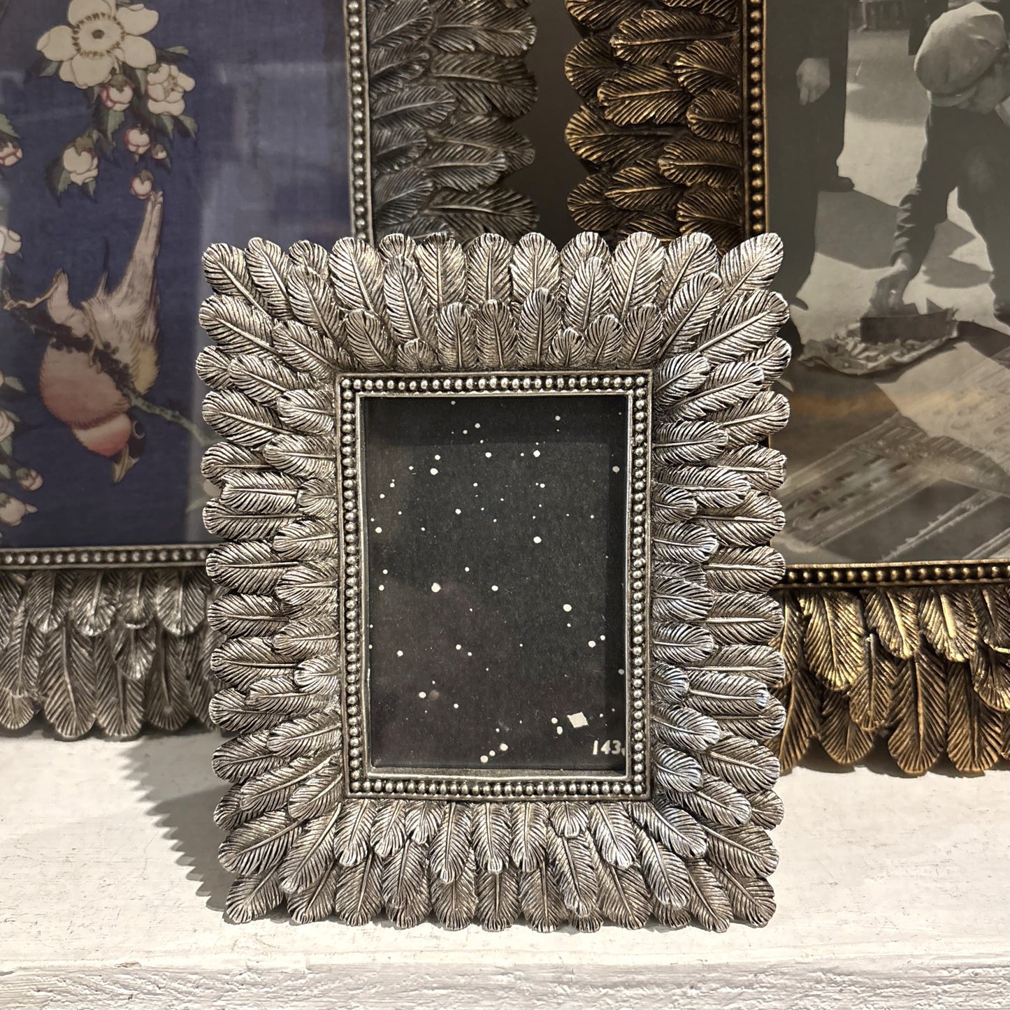 Feather Motif 4x6" Silver Frame