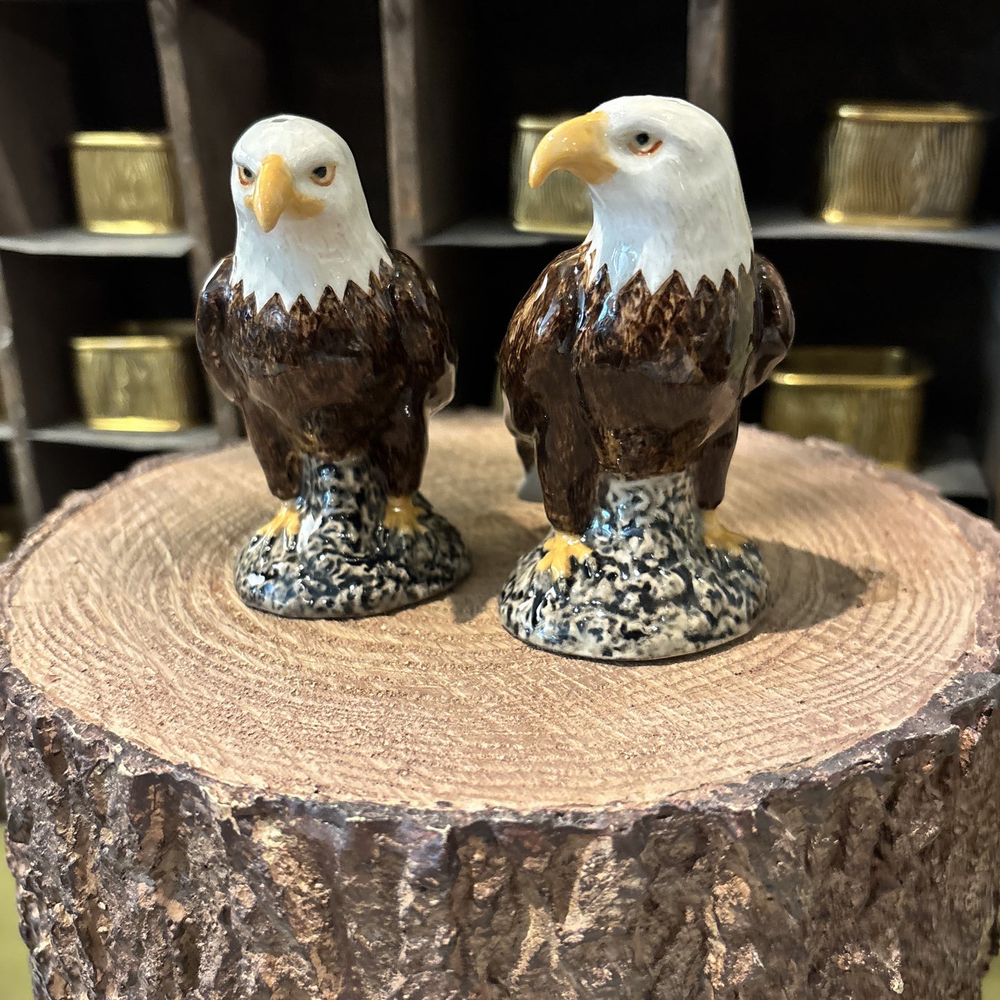 Bald Eagle Salt & Pepper Set