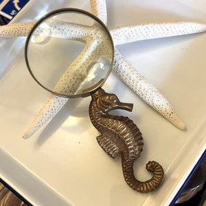 Antiqued Brass Seahorse Magnifying Glass