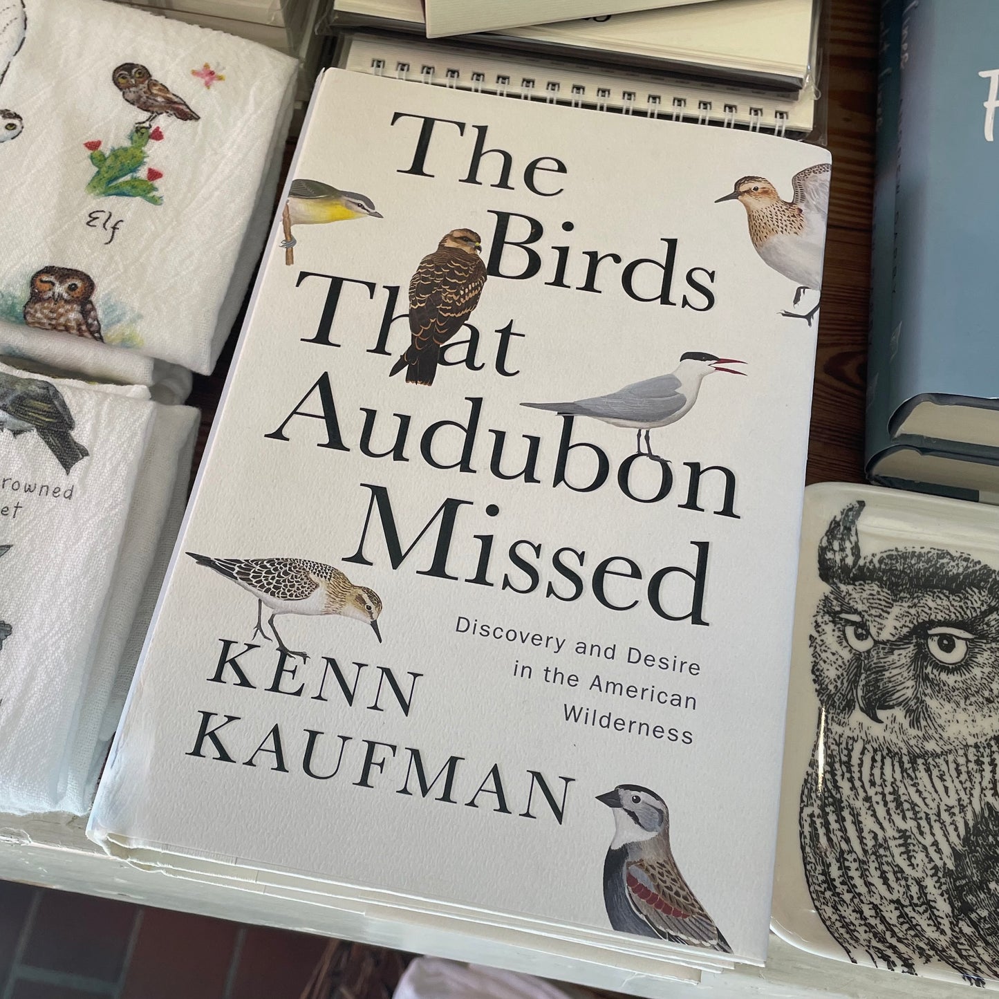 The Birds That Audubon Missed