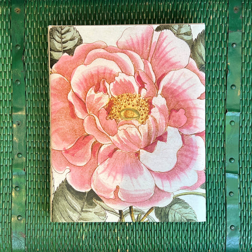 John Derian Picture Book II
