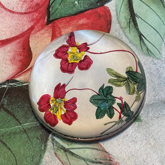 Capucine Dome Paperweight