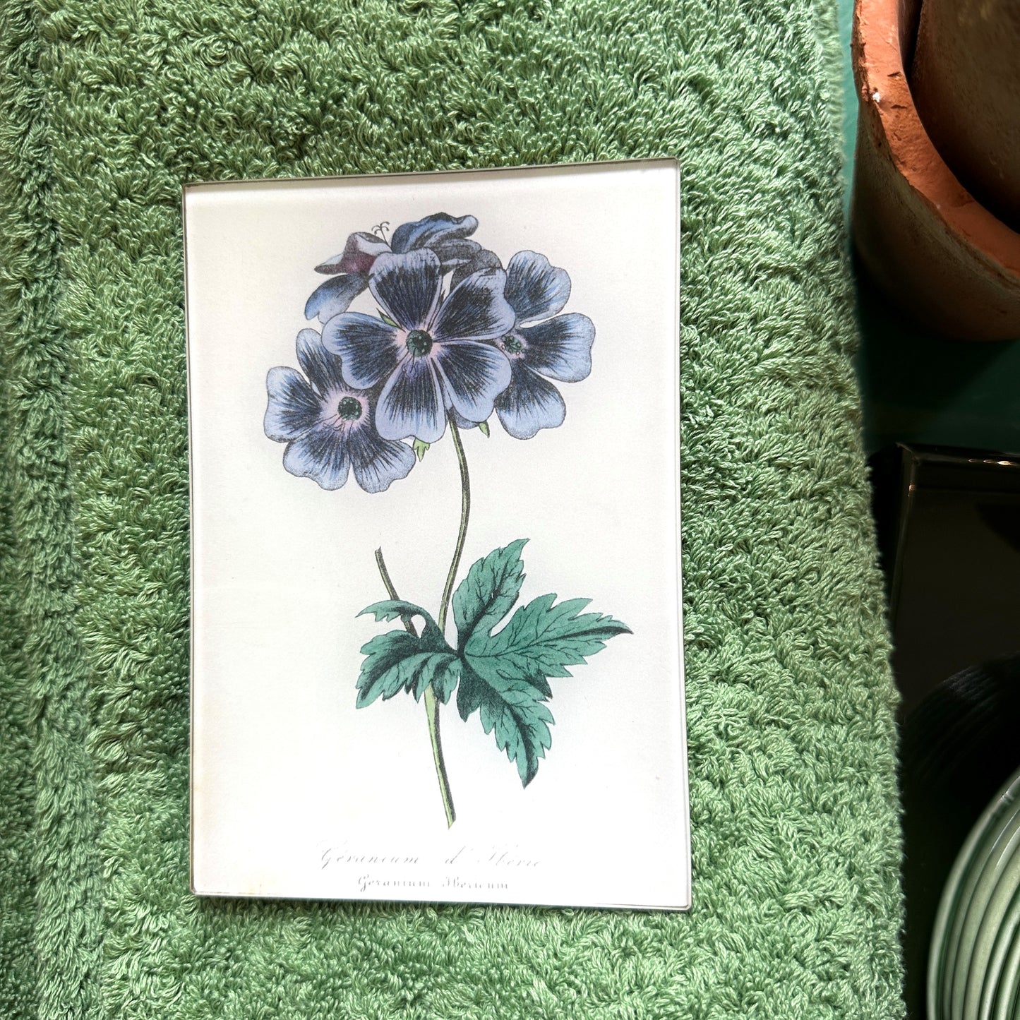 Blue Geranium Mini Tray