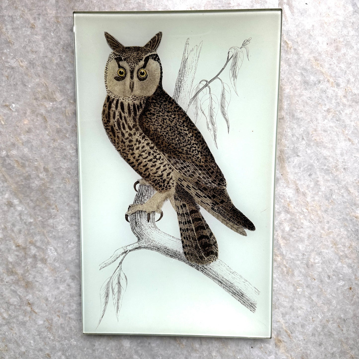Owl Rectangular Tray