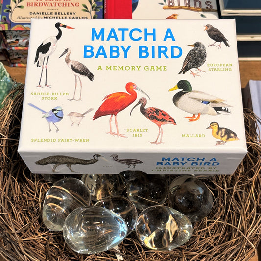 Match a Baby Bird Game
