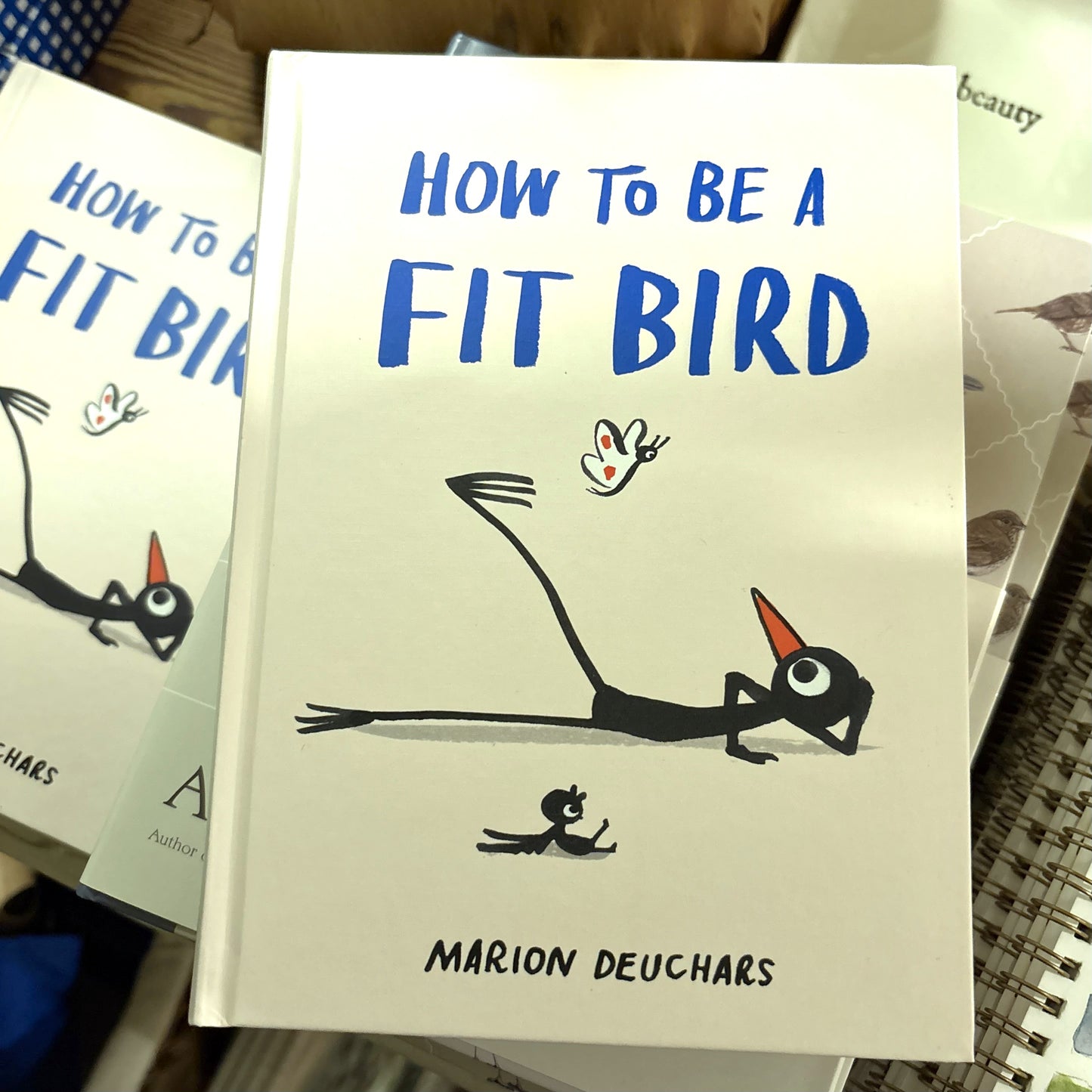 How to be a Fit Bird