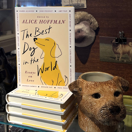 This Dog Will Change Your Life – Watson Kennedy