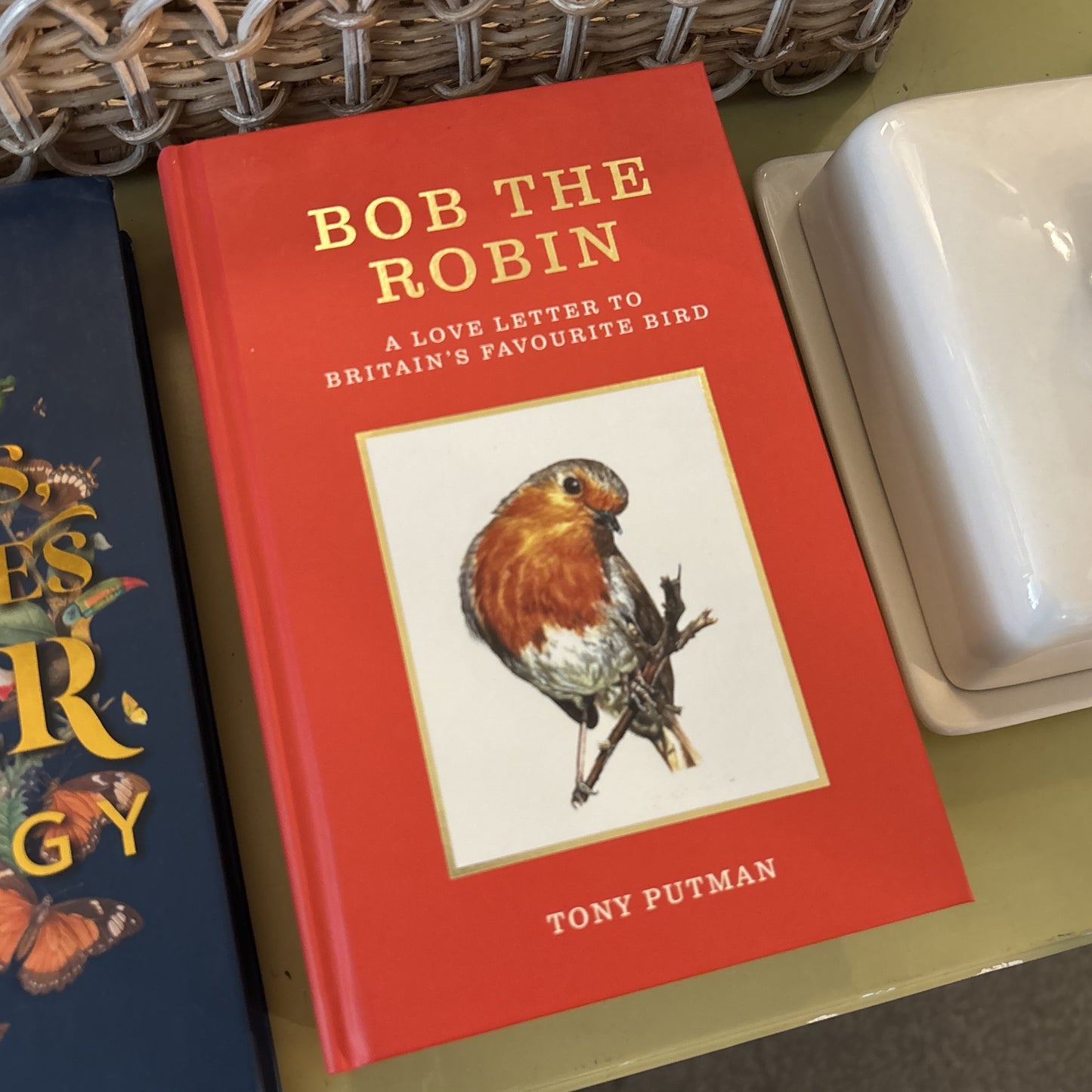 Bob the Robin