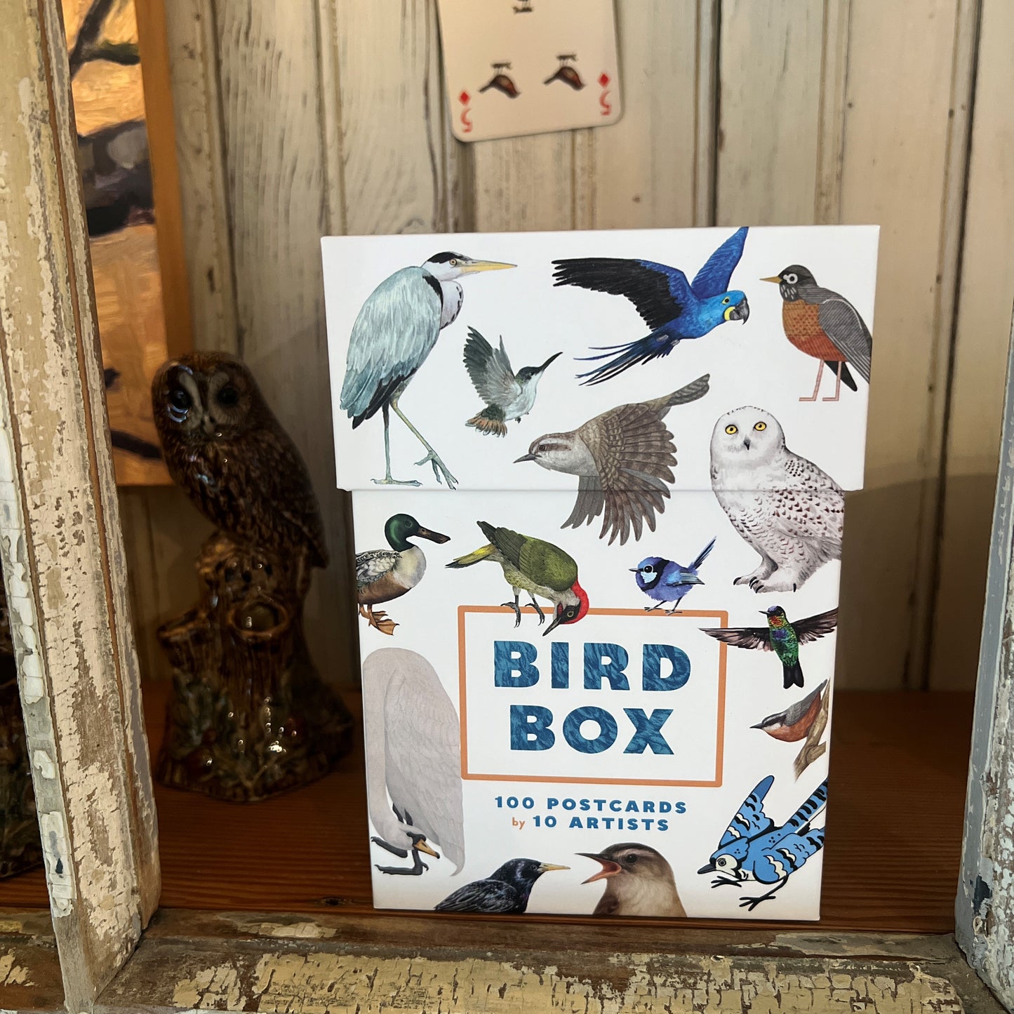 Bird Box: 100 Postcards by 10 Artists