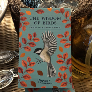 The Wisdom of Birds