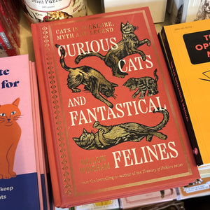 Curious Cats and Fantastical Felines
