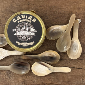 Caviar Horn Spoon 4 inch