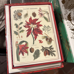 Christmas Botanica Boxed Cards