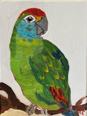 Green Parrot on Branch by Mindy Carpenter