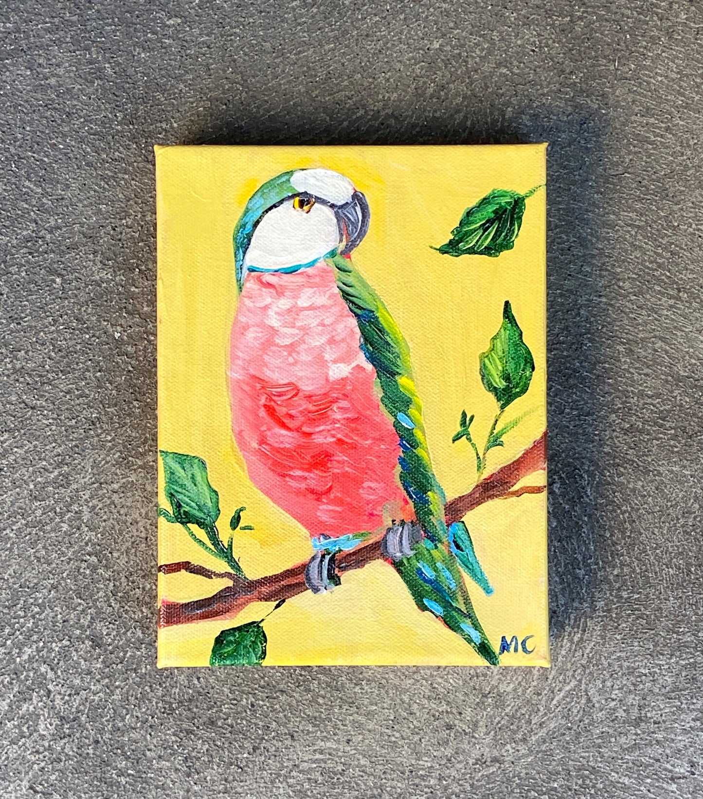 Green & Pink Parakeet by Mindy Carpenter