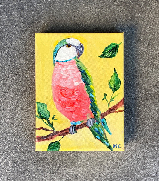 Green & Pink Parakeet by Mindy Carpenter