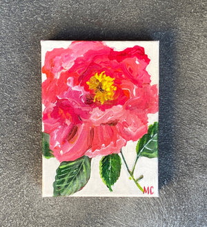 Pink Peony by Mindy Carpenter