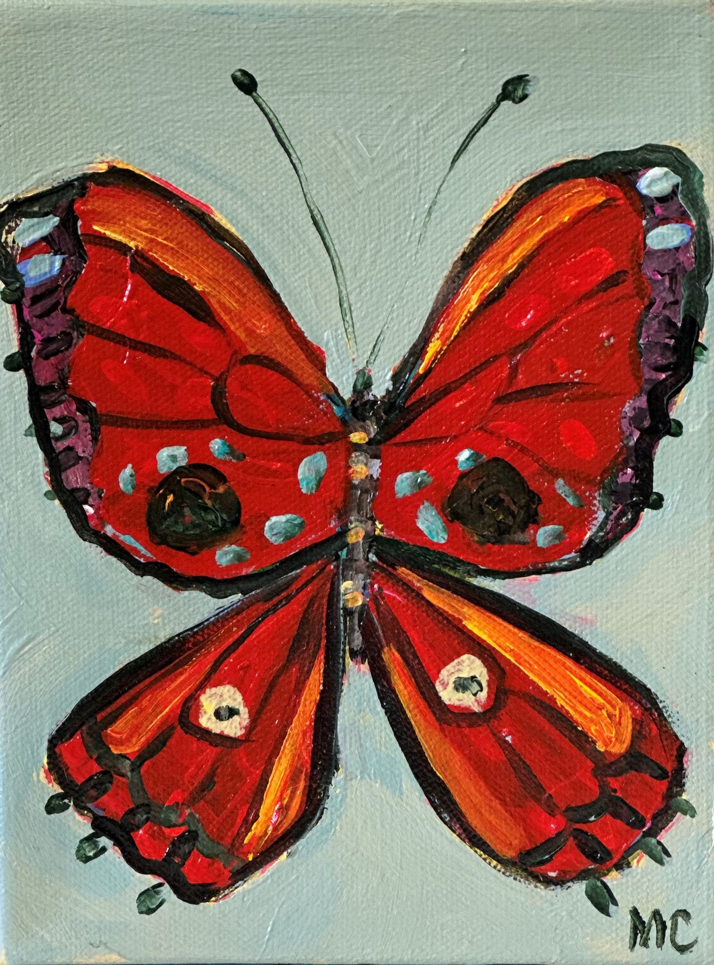 Papillon by Mindy Carpenter