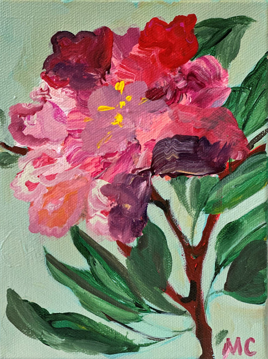 Pink Peony No. 02 by Mindy Carpenter