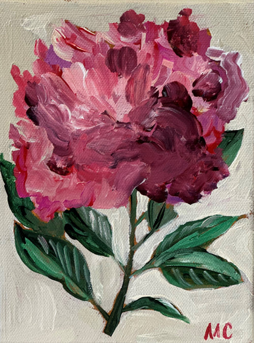 Pink Peony No. 03 by Mindy Carpenter
