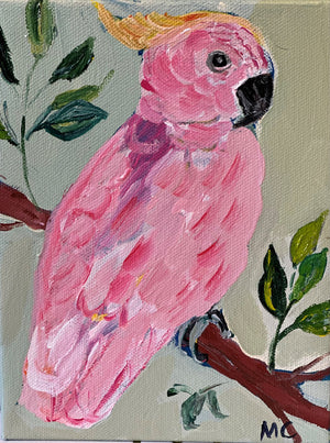 Pink Parakeet by Mindy Carpenter