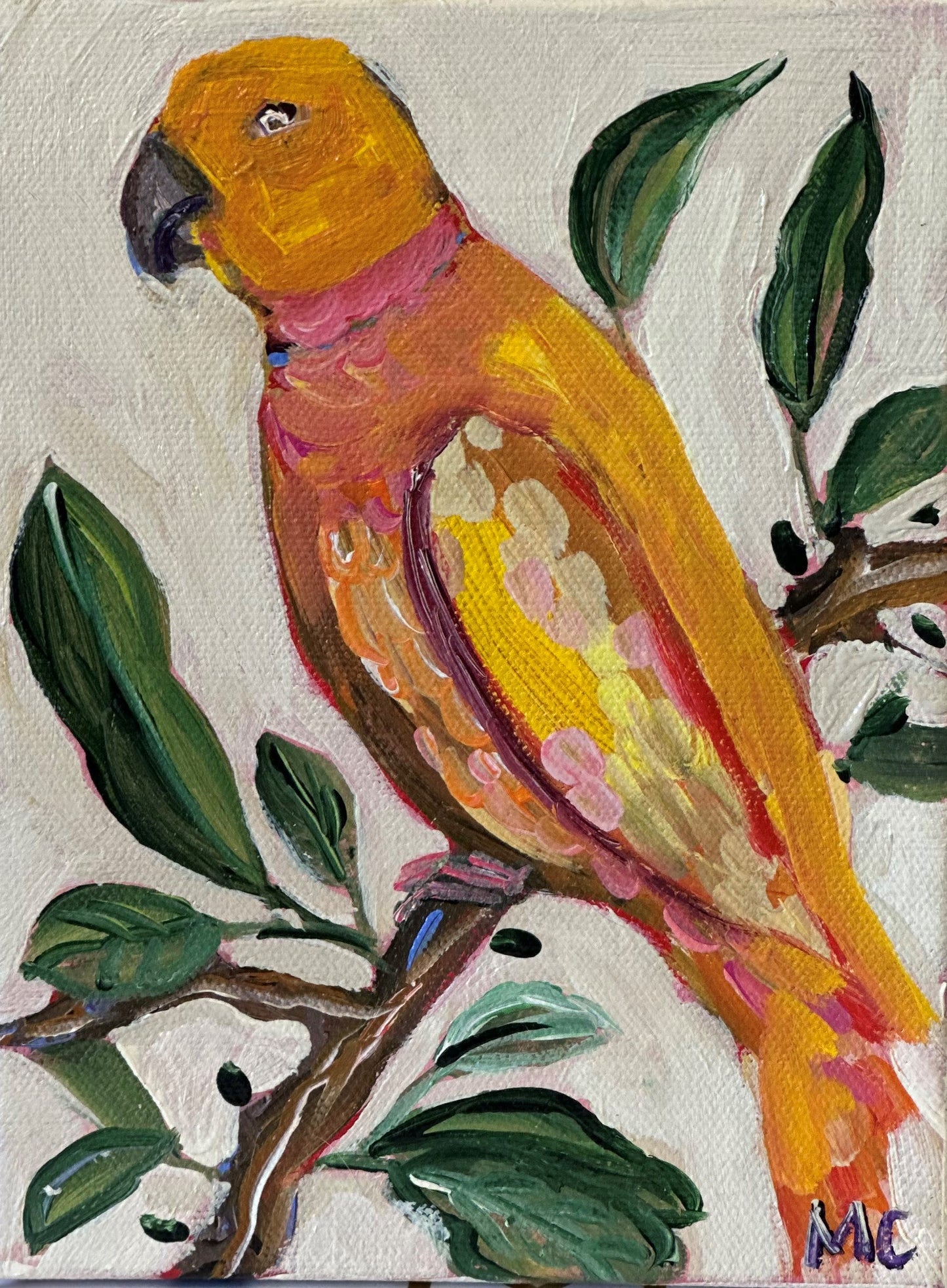 Orange Parrot by Mindy Carpenter