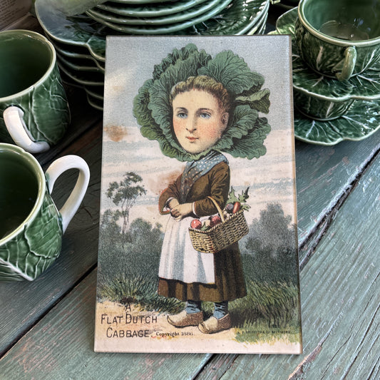 A Flat Dutch Cabbage Rectangular Tray
