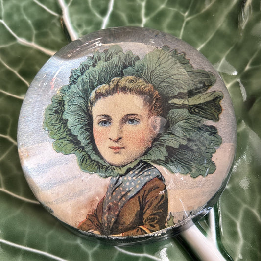 A Flat Dutch Cabbage Dome Paperweight