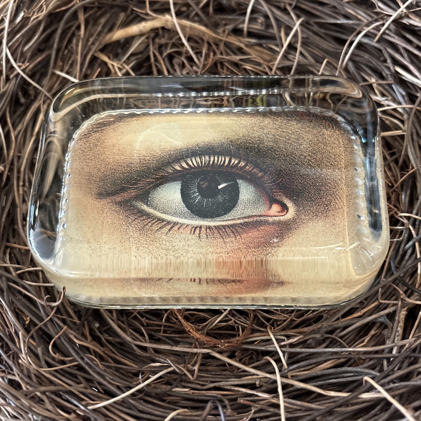 Eye (Right) Dotted Edge Paperweight