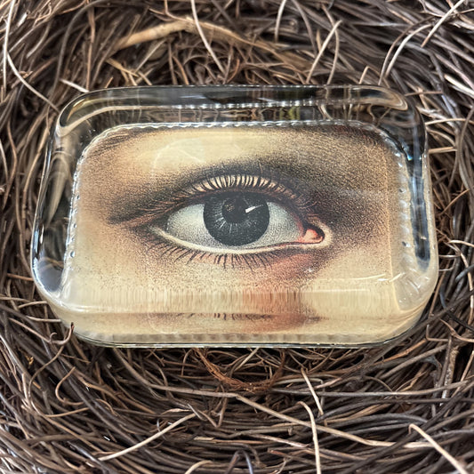 Eye (Right) Dotted Edge Paperweight