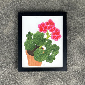 Pink & Red Geranium in Clay Pot by Denise Fiedler