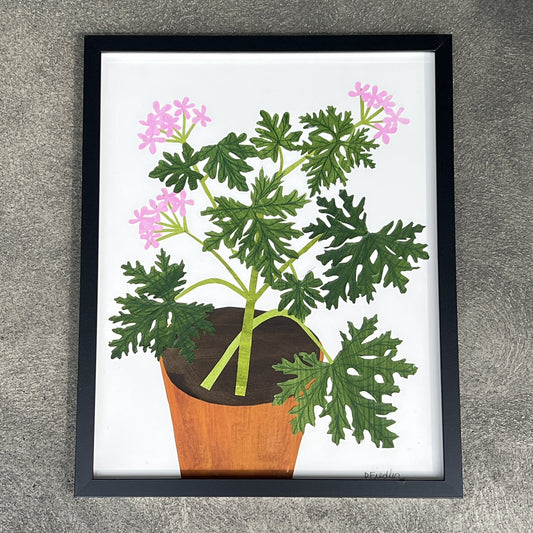 Pink Scented Geranium in Clay Pot by Denise Fiedler