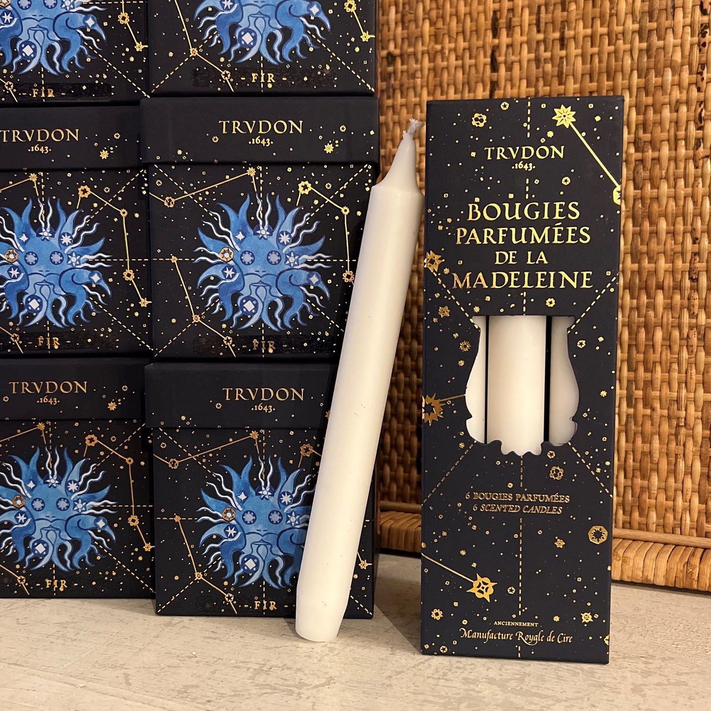 Trudon Fir Scented Taper Candles Holiday 2025