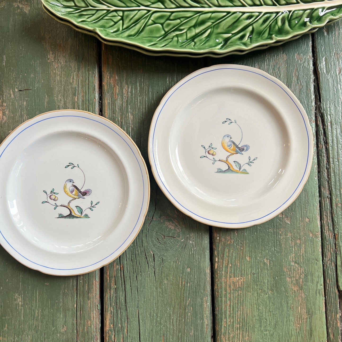 Vintage Spode Bird Plate, Medium