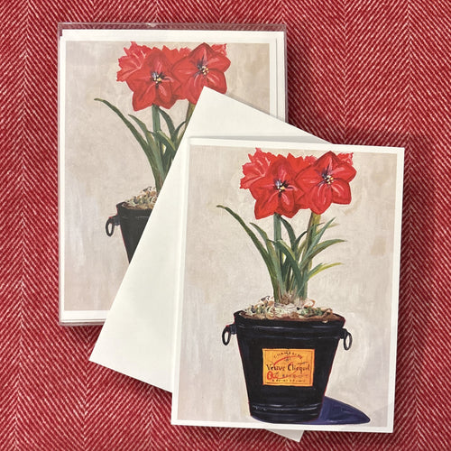 Amaryllis in Champagne Bucket Boxed Cards