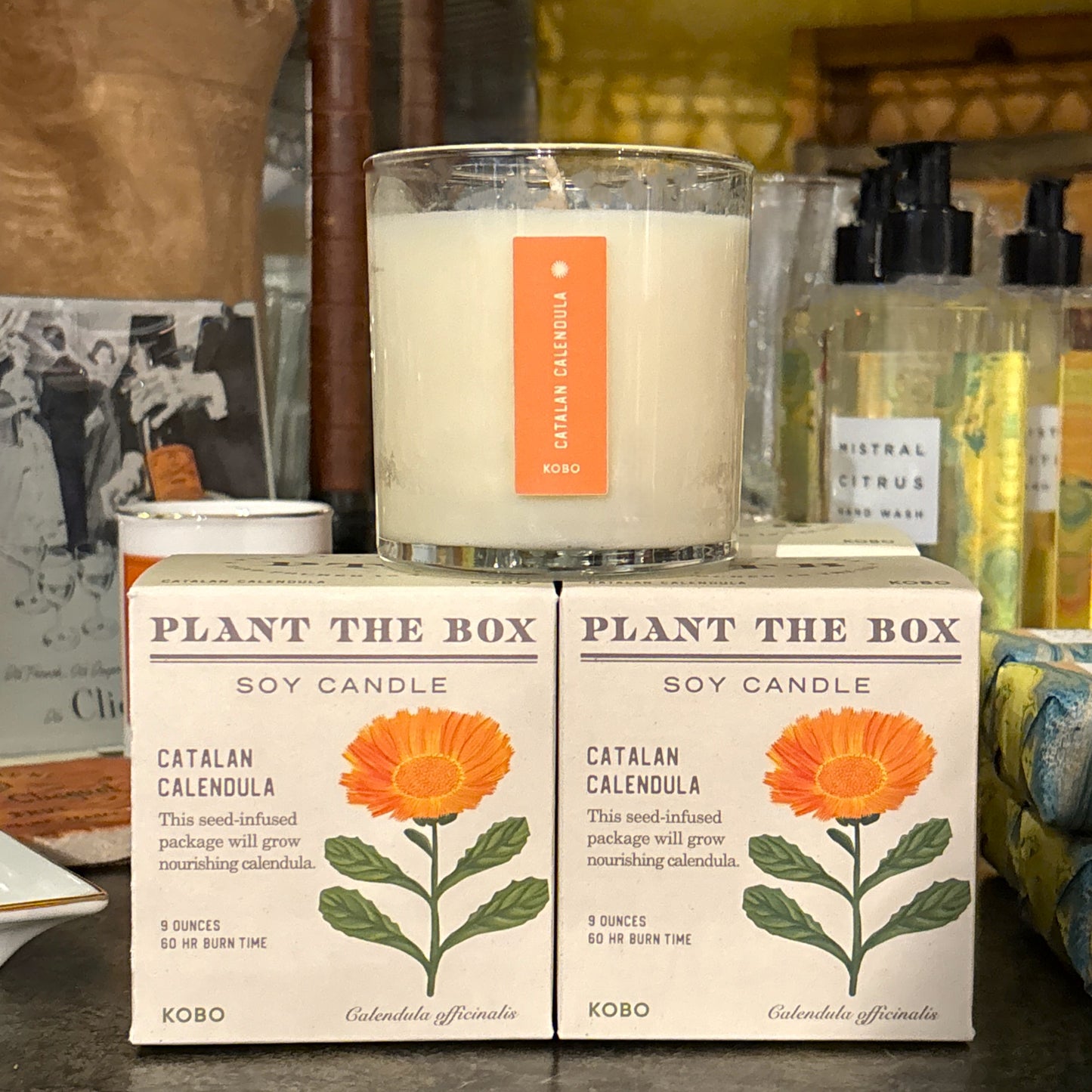 Catalan Calendula Candle