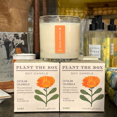 Catalan Calendula Candle