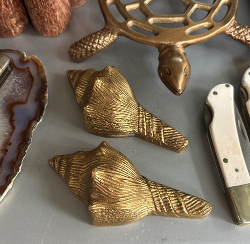 Conch Shell Brass Paperweight