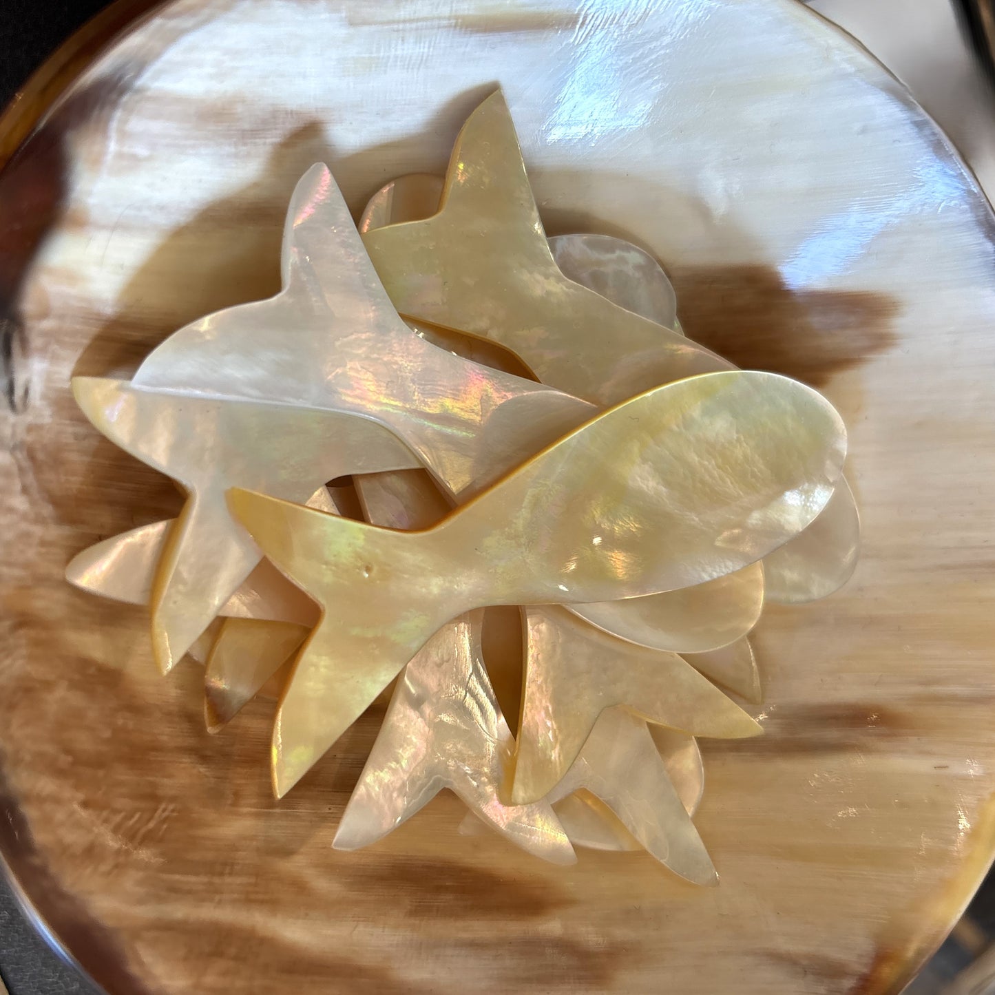 Mother of Pearl Fish Spoon