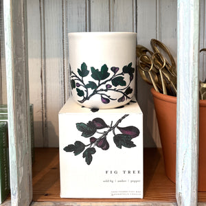 Fig Tree Candle
