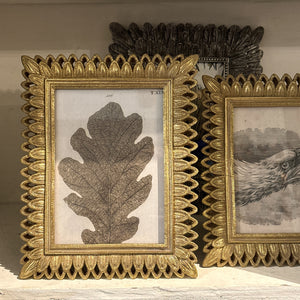 Antique Gold Feather Resin Frame, 5x7"