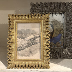 Antique Gold Feather Resin Frame, 4x6"