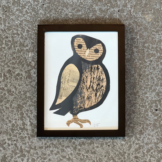 Owl by Denise Fiedler