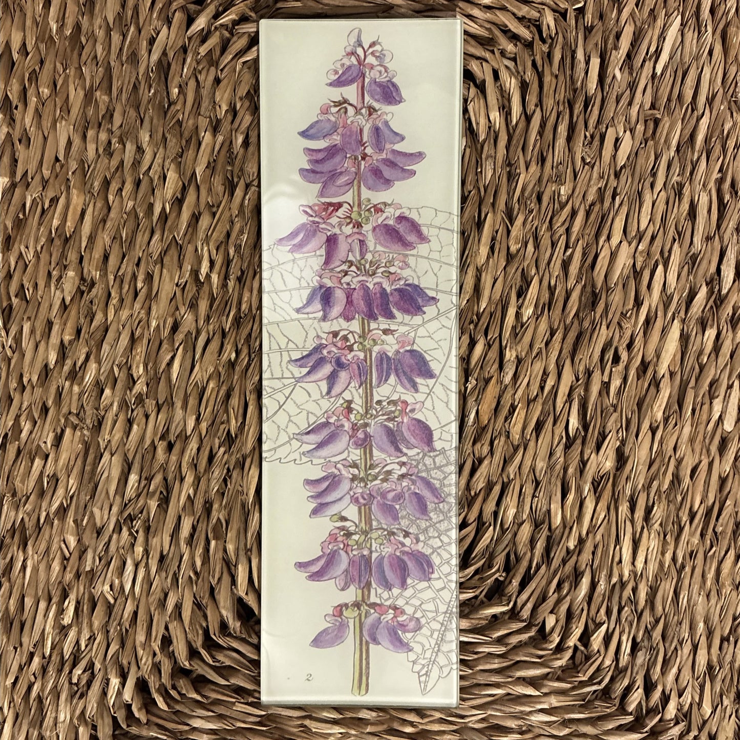 Coleus Rectangular Tray