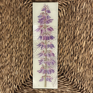 Coleus Rectangular Tray