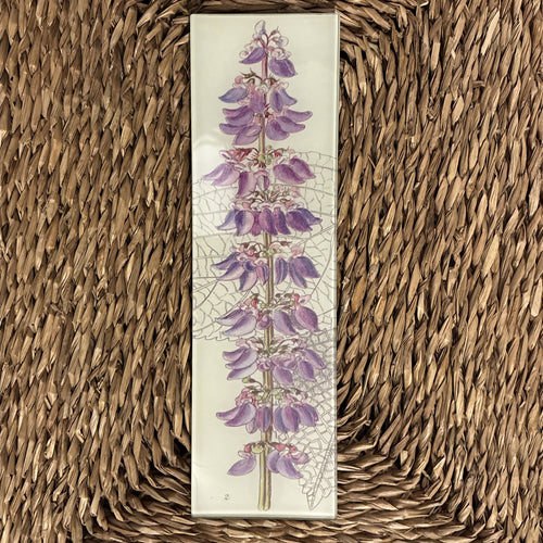 Coleus Rectangular Tray