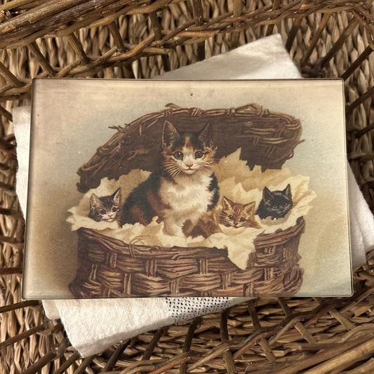 Cat Basket Mini Rectangular Tray